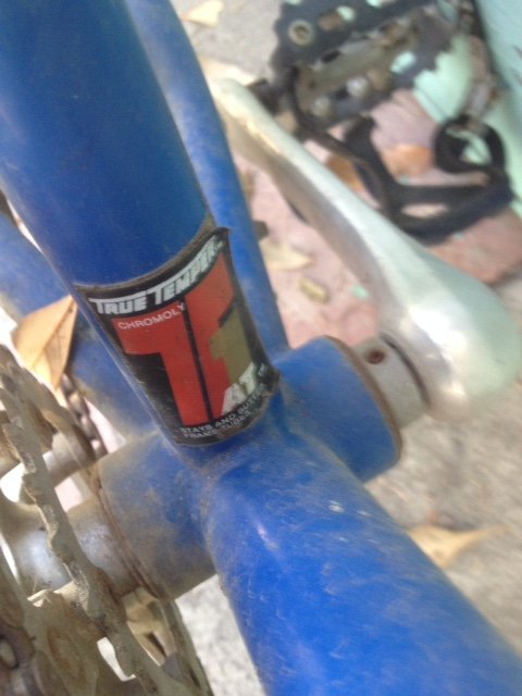 my bike down tube decal.jpg